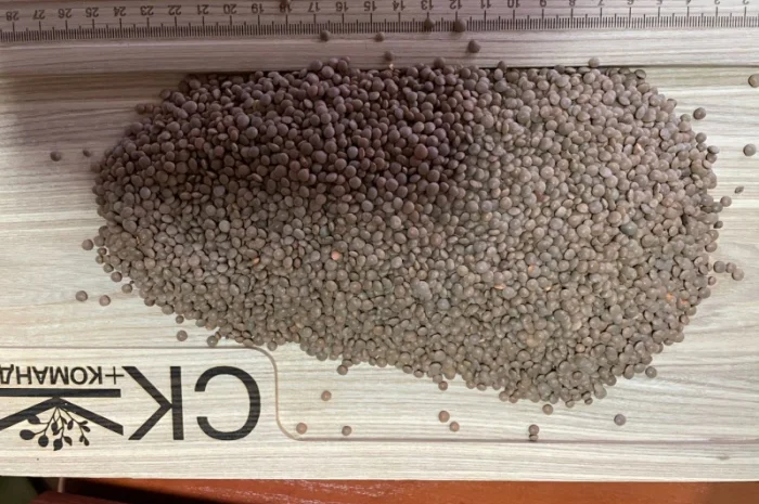 Продається льон коричневий та золотий база- фото № 11