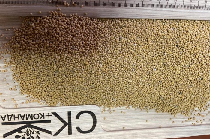 Продається льон коричневий та золотий база- фото № 12