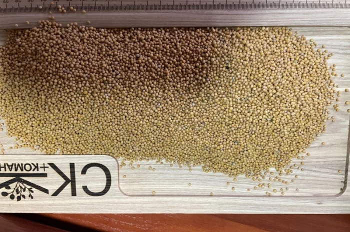 Продається льон коричневий та золотий база- фото № 13