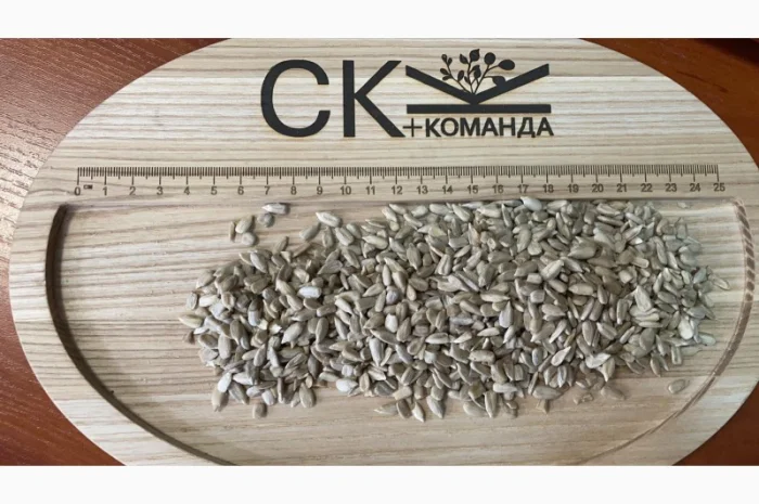 Продається льон коричневий та золотий база- фото № 14