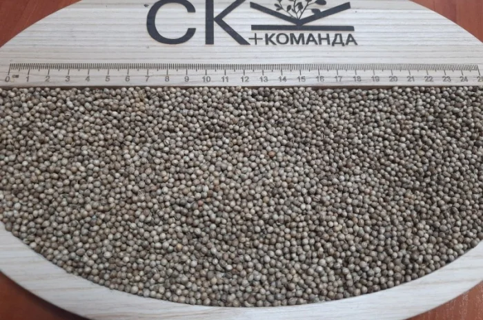 Продається льон коричневий та золотий база- фото № 8