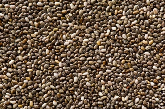 Семена чиа из Аргентины- фото № 1