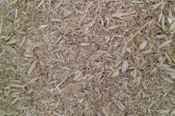 Зерновідходи, некондиція, бите зерно, зерносуміші. Закуповуємо дорого- фото № 1