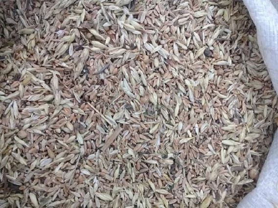 Закупівля зерновідходи, некондиція зернових, олійних, бобових- фото № 1