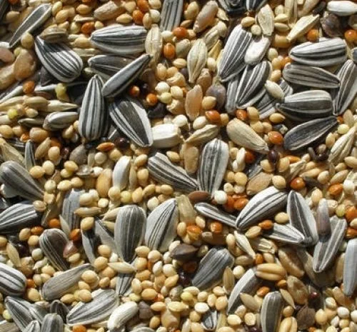 Зерновідходи, некондиція закуповуємо дорого- фото № 1