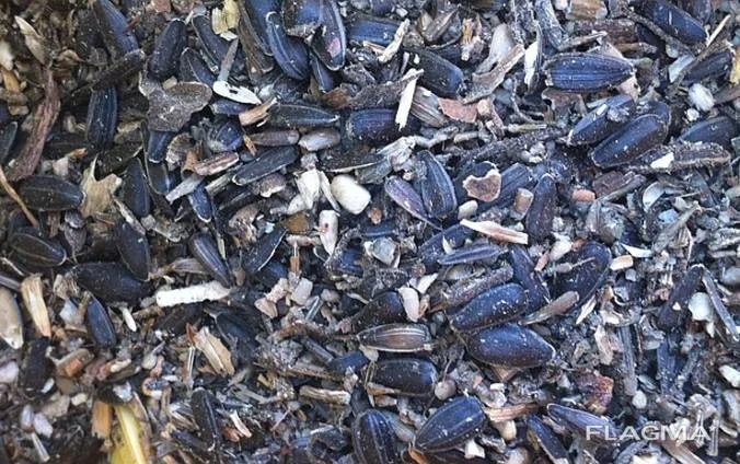 Куплю отходы подсолнечника мертвые и деловые- фото № 1