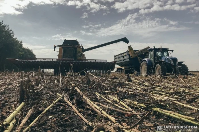 Принимаем Ячмень Подсолнечник в Кировоград обл- фото № 1