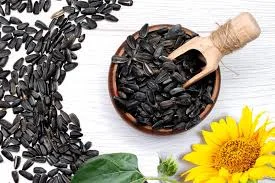 Куплю олійні культури- фото № 1