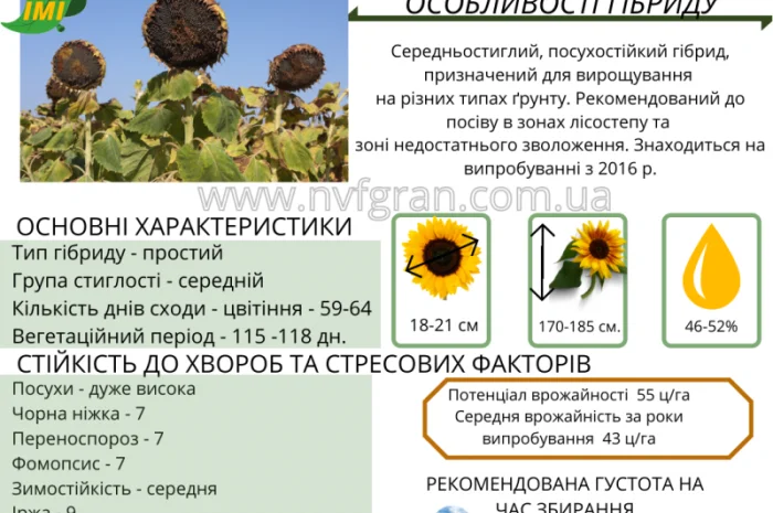Бери!!! Насіння соняшника та (або) кукурудзи та гарантовано отримуй знижку- фото № 6