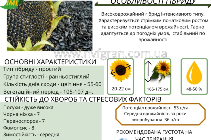 Бери!!! Насіння соняшника та (або) кукурудзи та гарантовано отримуй знижку- фото № 7