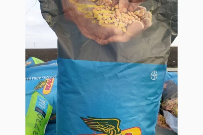 Насіння соняшнику та кукурудзи ДКС, ПІОНЕР, СИНГЕНТА оригінал, імпорт- фото № 1