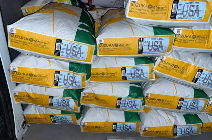 Насіння соняшнику та кукурудзи ДКС, ПІОНЕР, СИНГЕНТА оригінал, імпорт- фото № 4