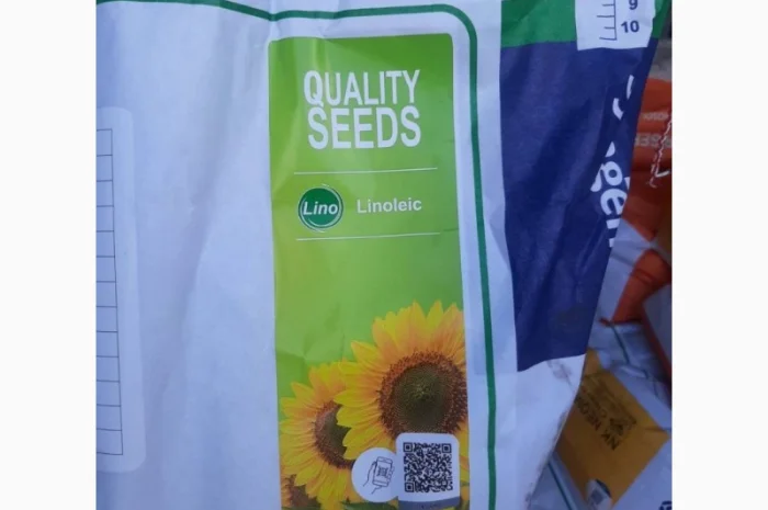 Насіння соняшнику та кукурудзи від Сингента 2022рік врожаю- фото № 3