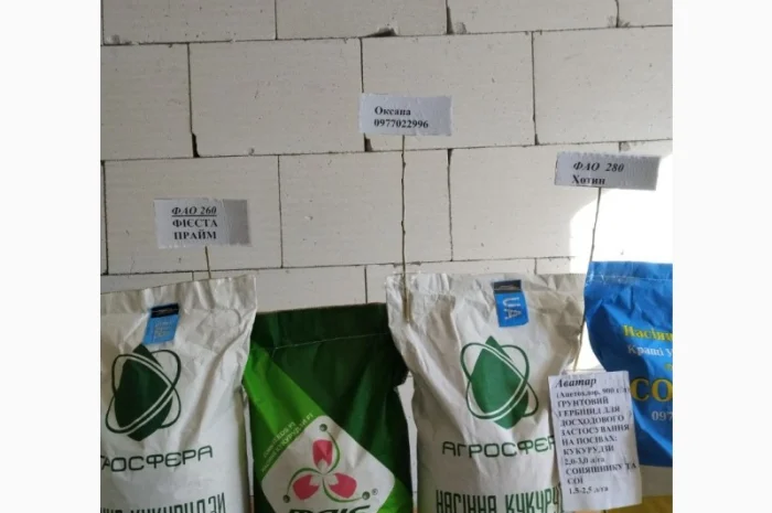 Продам насіння соняшнику та кукурудзи Прайм, Фієста, Хотин та ріпаку Шерпа- фото № 2