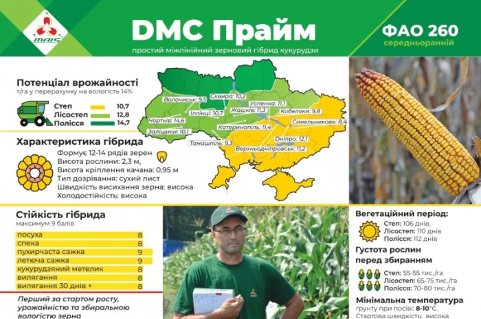 Продам насіння соняшнику та кукурудзи Прайм, Фієста, Хотин та ріпаку Шерпа- фото № 3