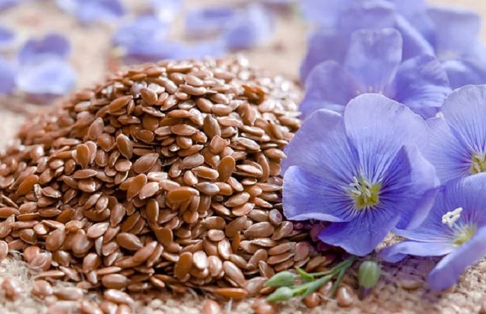 Продам расторопшу, лен, рыжик- фото № 1