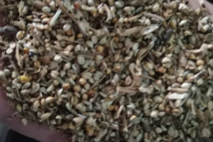 Продается отходы белой горчицы- фото № 5