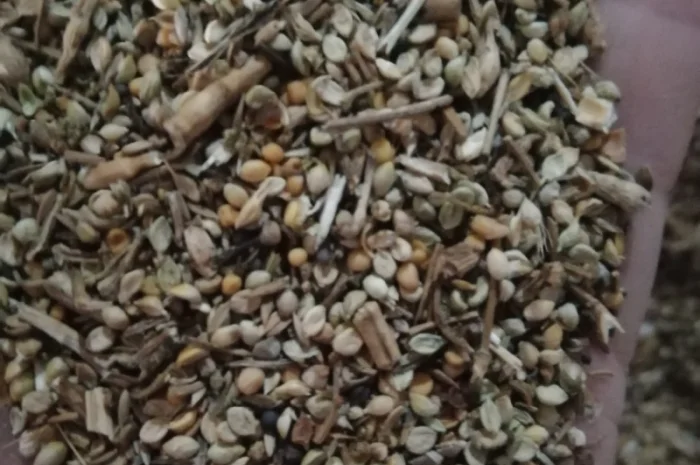 Продается отходы белой горчицы- фото № 9