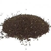 Семена горчицы сорта Чёрная элита 1 репродукция- фото № 1