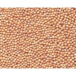 Семена горчицы белой сорта ОСЛАВА, элита 1 репродукция- фото № 1