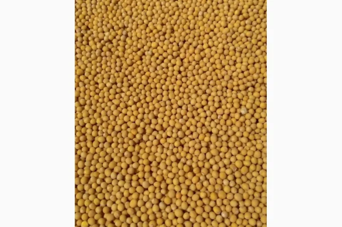 Продажа семян горчицы белой и жёлтой- фото № 1