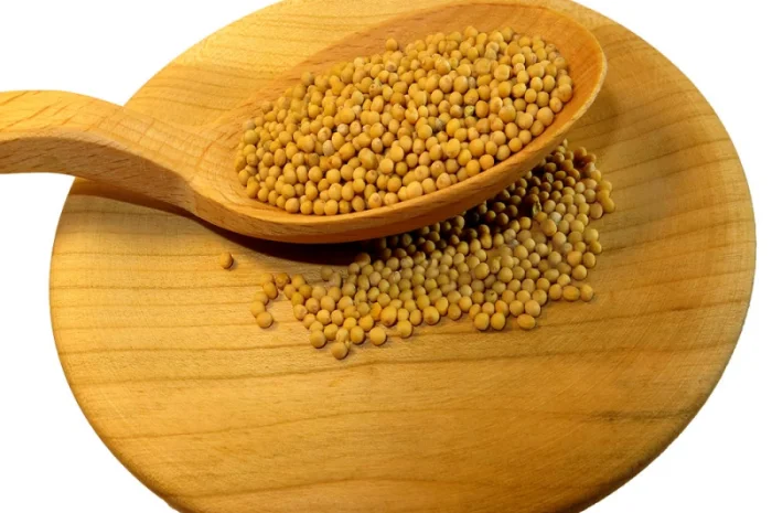 Продается белая горчица высокого качества- фото № 1