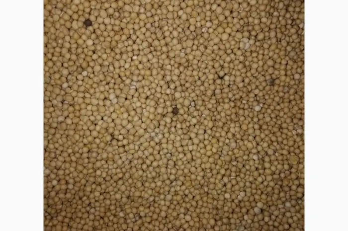 Семена горчицы желтой сорта Дижонка- фото № 1