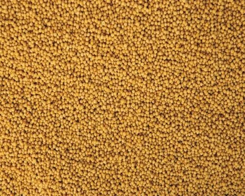 Купуємо насіння жовтої гірчиці- фото № 3