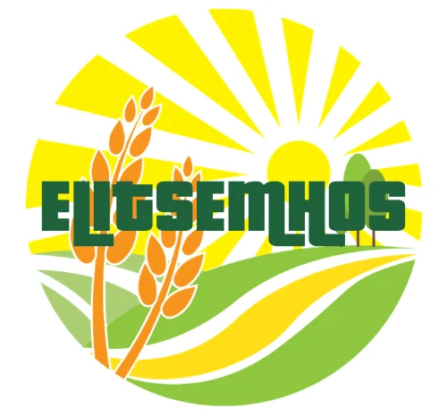 Продаются семена яровых культур – Коріандр- фото № 1