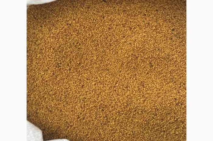 Семена горчицы желтой озимой сорт Новинка- фото № 1