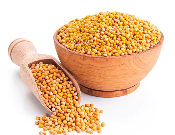 Закуповуєм насіння гірчиці / Скупаем семена горчицы- фото № 1