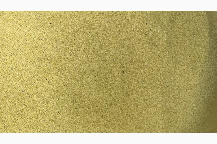 Продам гірчицю білу- фото № 2