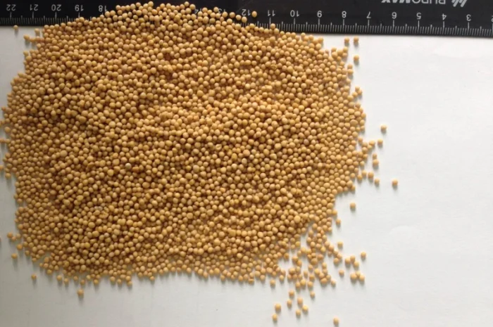 Купую Гірчицю Білу/Чорну/Жовту- фото № 1