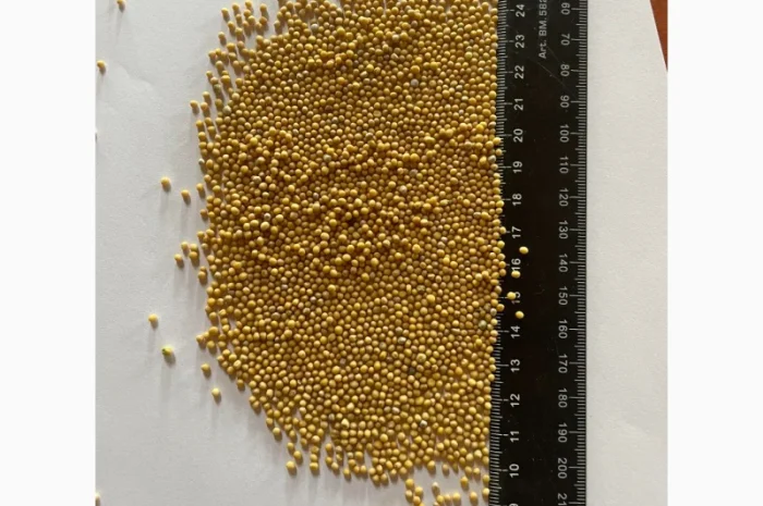 Продам Гірчицю Білу(під сидерат)- фото № 3