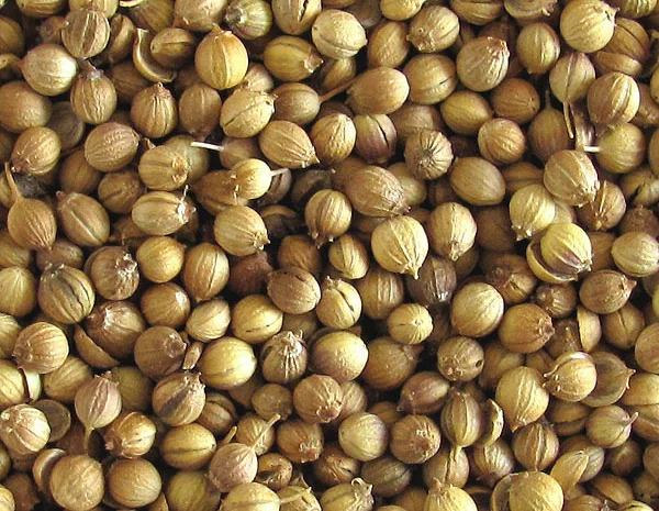 Куплю кориандр- фото № 1