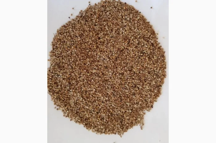 Кориандр половинки очищенные- фото № 1