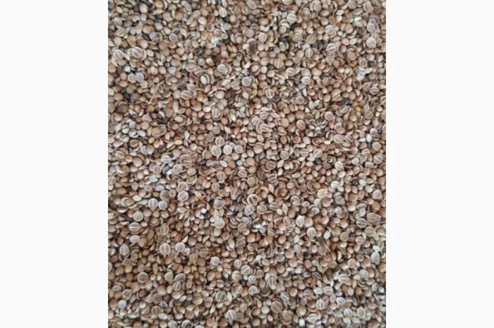 Кориандр половинки очищенные- фото № 2