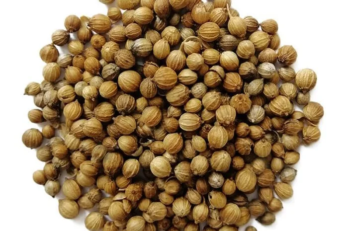 Купуємо коріандр- фото № 1