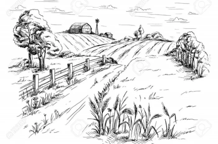 Закупаем ЖИТО постоянно. Самовывоз. Быстро- фото № 1