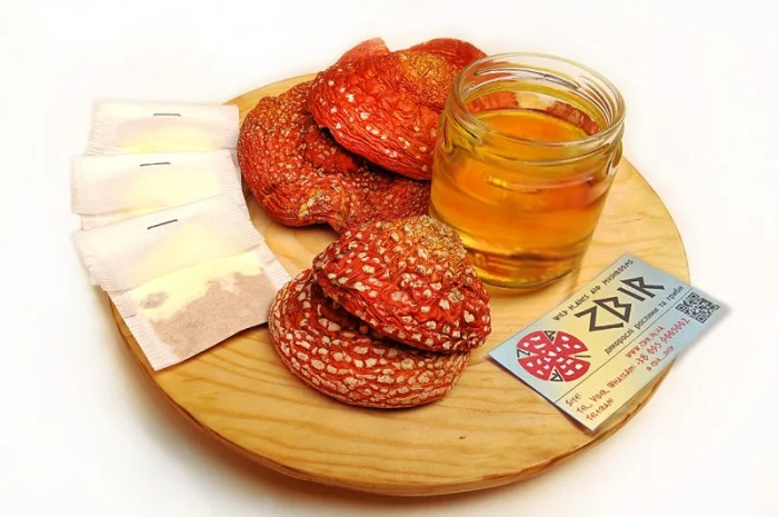 Чай з червоного та пантерного мухомора у пакетиках від ZBIR- фото № 3