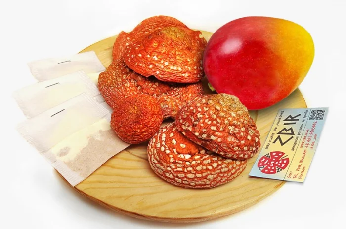 Чай з червоного та пантерного мухомора у пакетиках від ZBIR- фото № 4