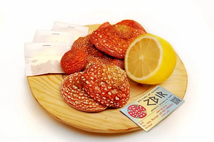 Чай з червоного та пантерного мухомора у пакетиках від ZBIR- фото № 1