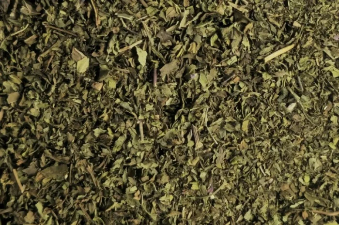 М'ята сушена опт та роздріб- фото № 1