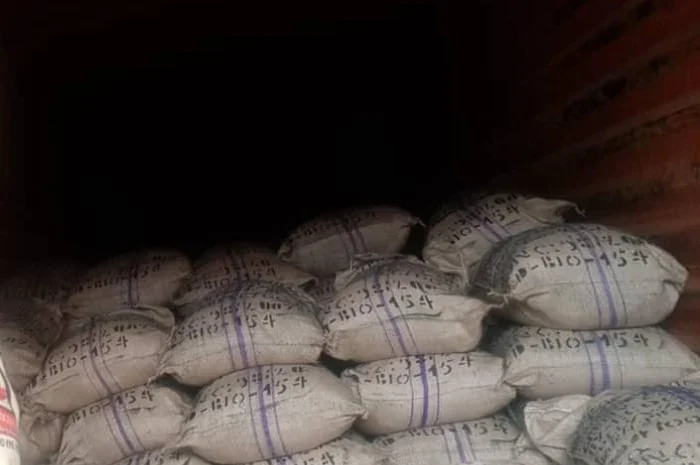 Прода кофе зелённый Арабика и робуста оптом из Республики Конга- фото № 2