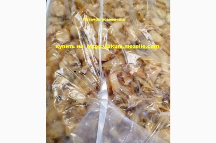 Снеки анчоус, кальмар, краб, осьминог, треска, тунец, угорь, рыбный снек, закуска к пиву- фото № 13