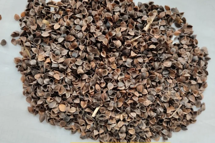 Лузга гречана- фото № 1