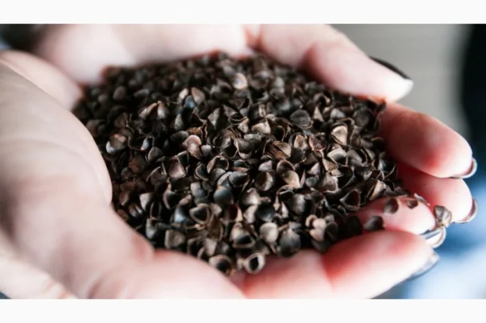 Продается лузга гречаная- фото № 1