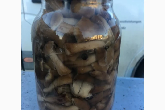 Чорнослив, Мариновані Гриби, Огірок, Помідор- фото № 2