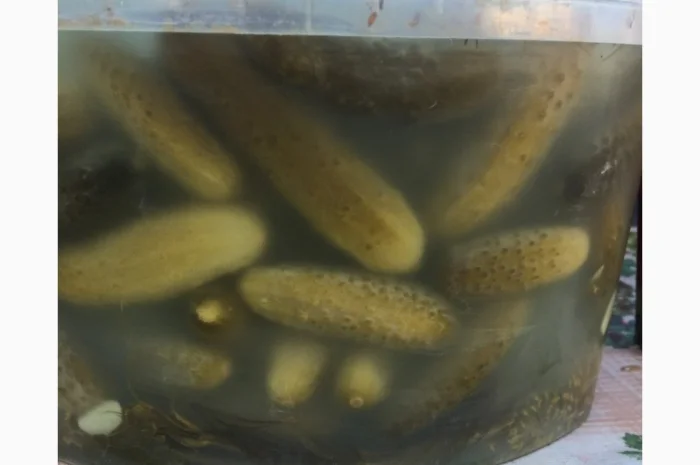 Чорнослив, Мариновані Гриби, Огірок, Помідор- фото № 4