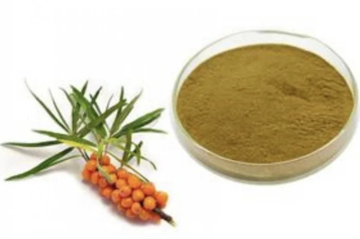 Пропонується порошок з обліпихи- фото № 1